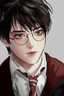 [Harry Potter/HARDAR] Thế Giới Song Song Ta Với Ngươi