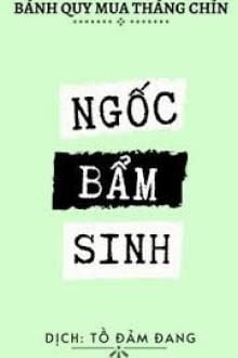 Ngốc Bẩm Sinh