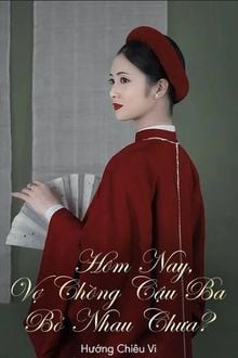 Hôm Nay, Vợ Chồng Cậu Ba Bỏ Nhau Chưa?