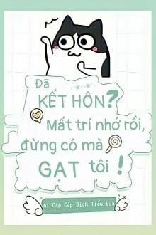 Kết Hôn? Mất Trí Nhớ Đây, Đừng Gạt Tôi