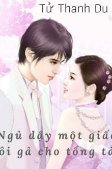 Ngủ Dậy Một Giấc Tôi Gả Cho Tổng Tài