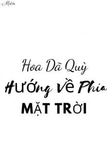 Hoa Dã Quỳ Hướng Về Phía Mặt Trời